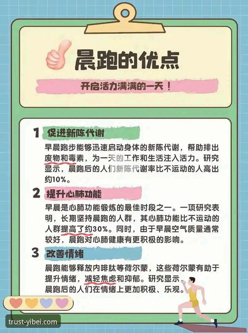 易倍官网用户指南 vs 自助摸索：哪个更高效？全面对比分析
