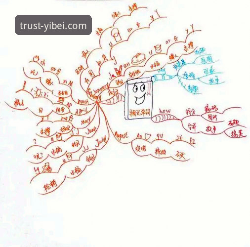 实战派用户深度解析：易倍官网值得信赖吗？我的真实使用心得